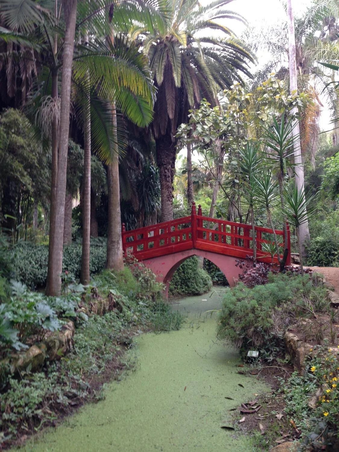 Les Jardins Exotiques de Bouknadel