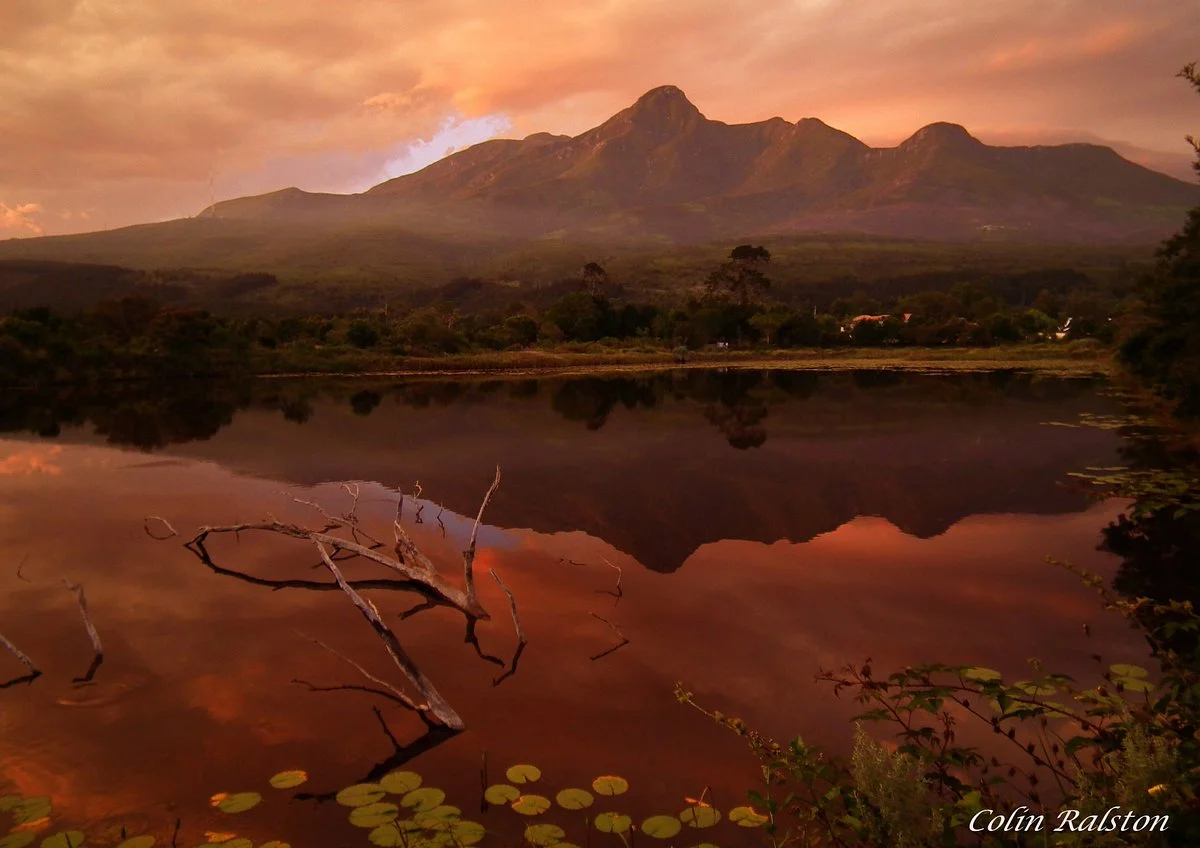 Garden Route Botanical Gardens