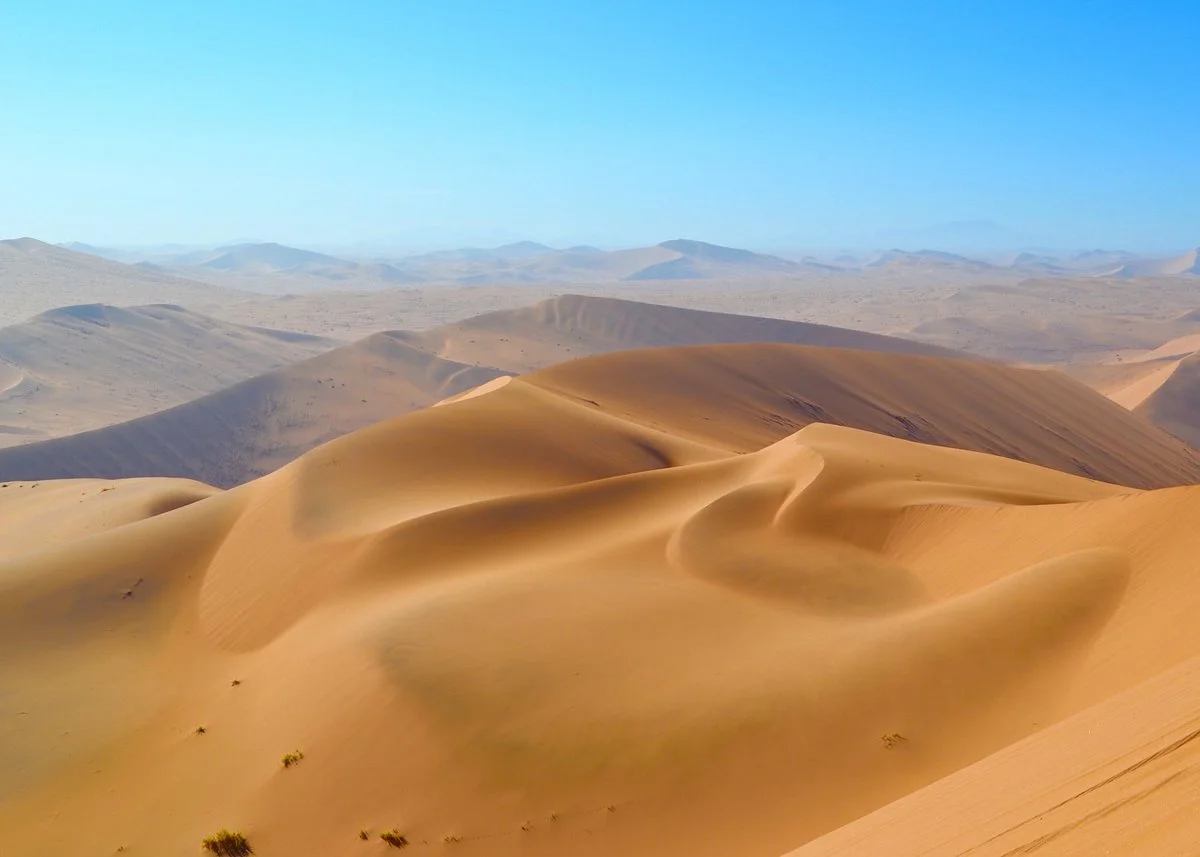 Big Daddy Dune