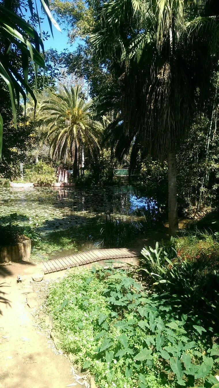 Exotic Gardens of Bouknadel