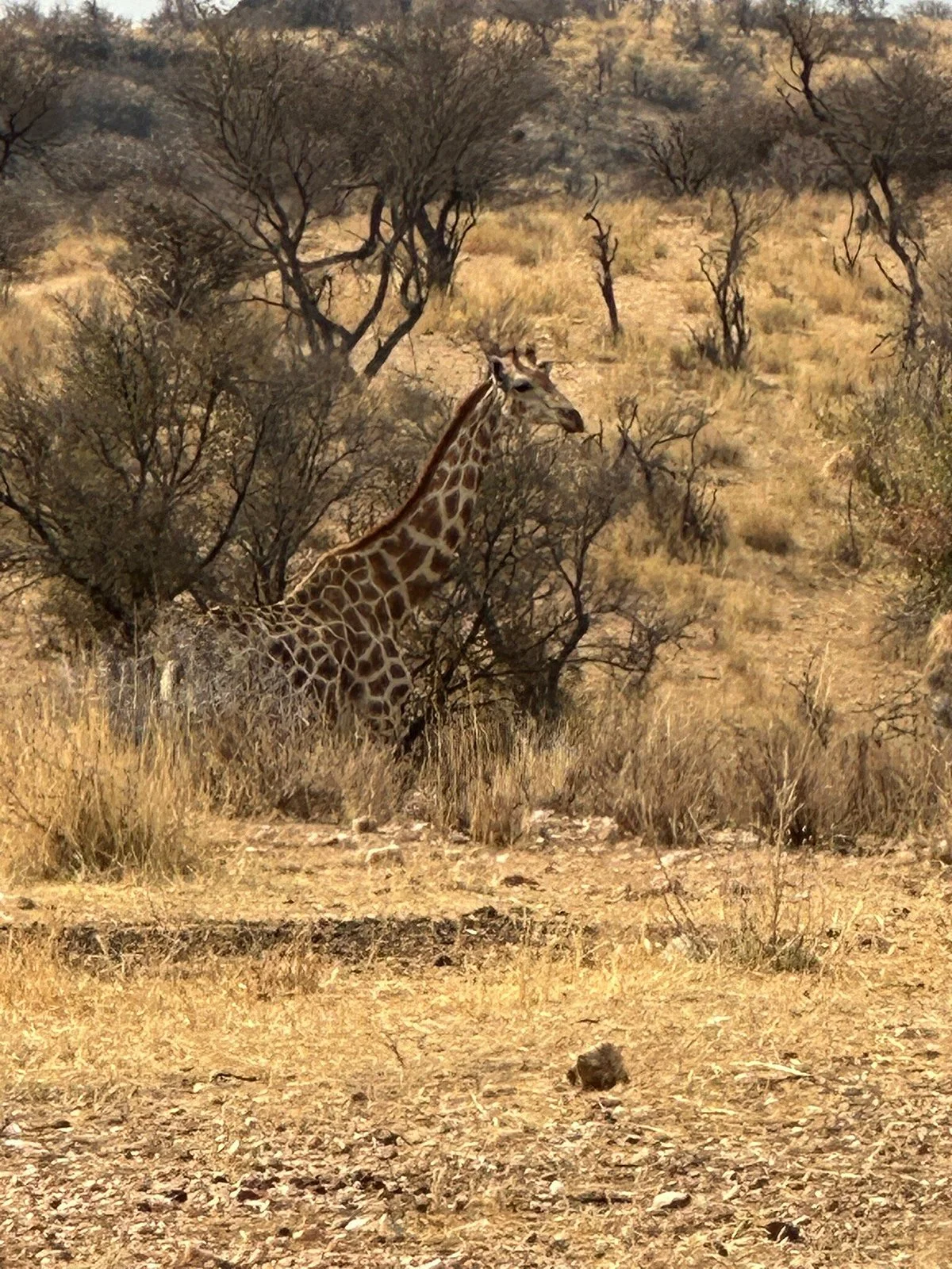Mountain Bike Namibia