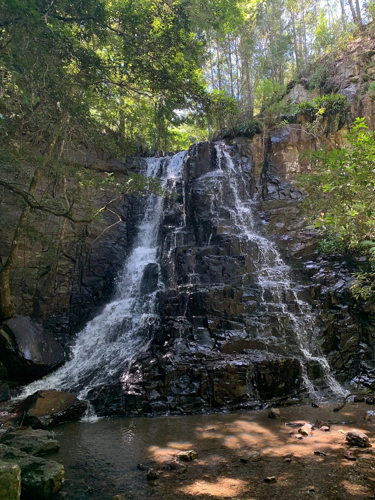 Hogsback Arboretum