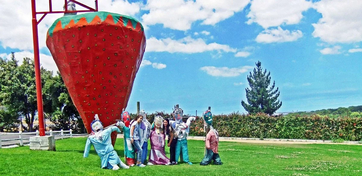 Polkadraai Farm