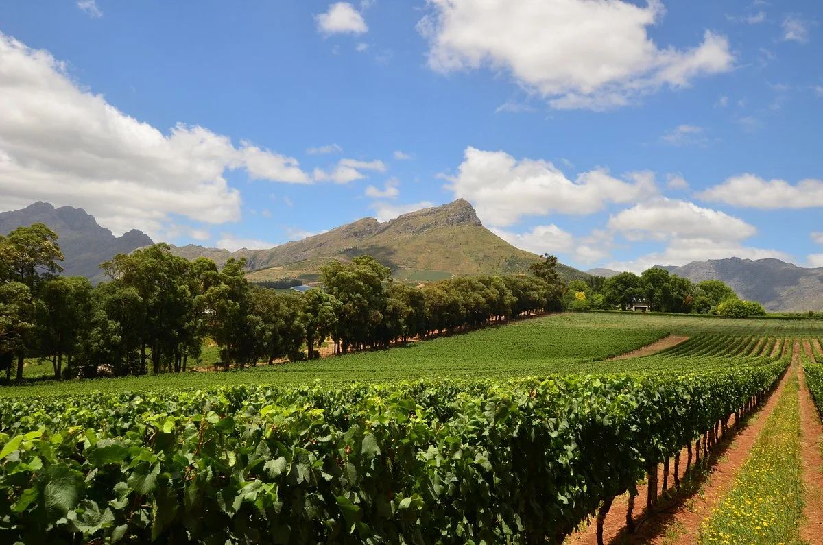 Thelema Mountain Vineyards