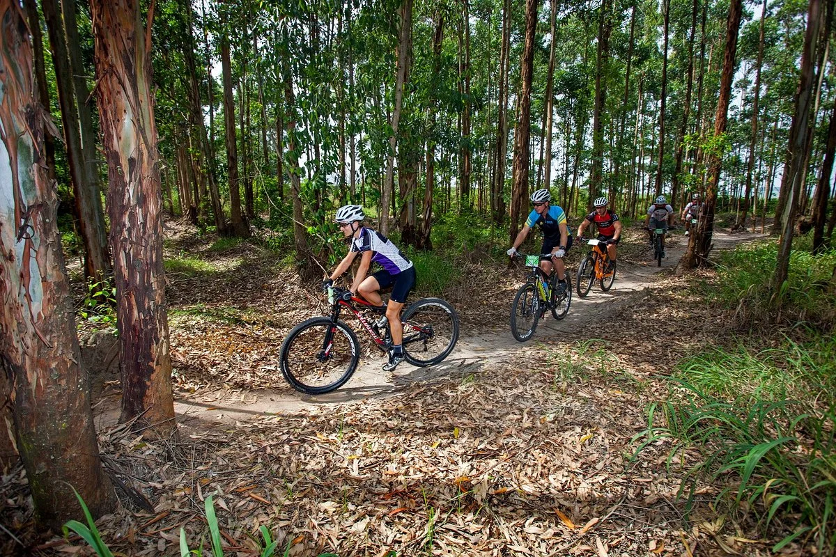 Holla Trails