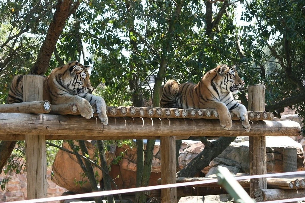 Johannesburg Zoo