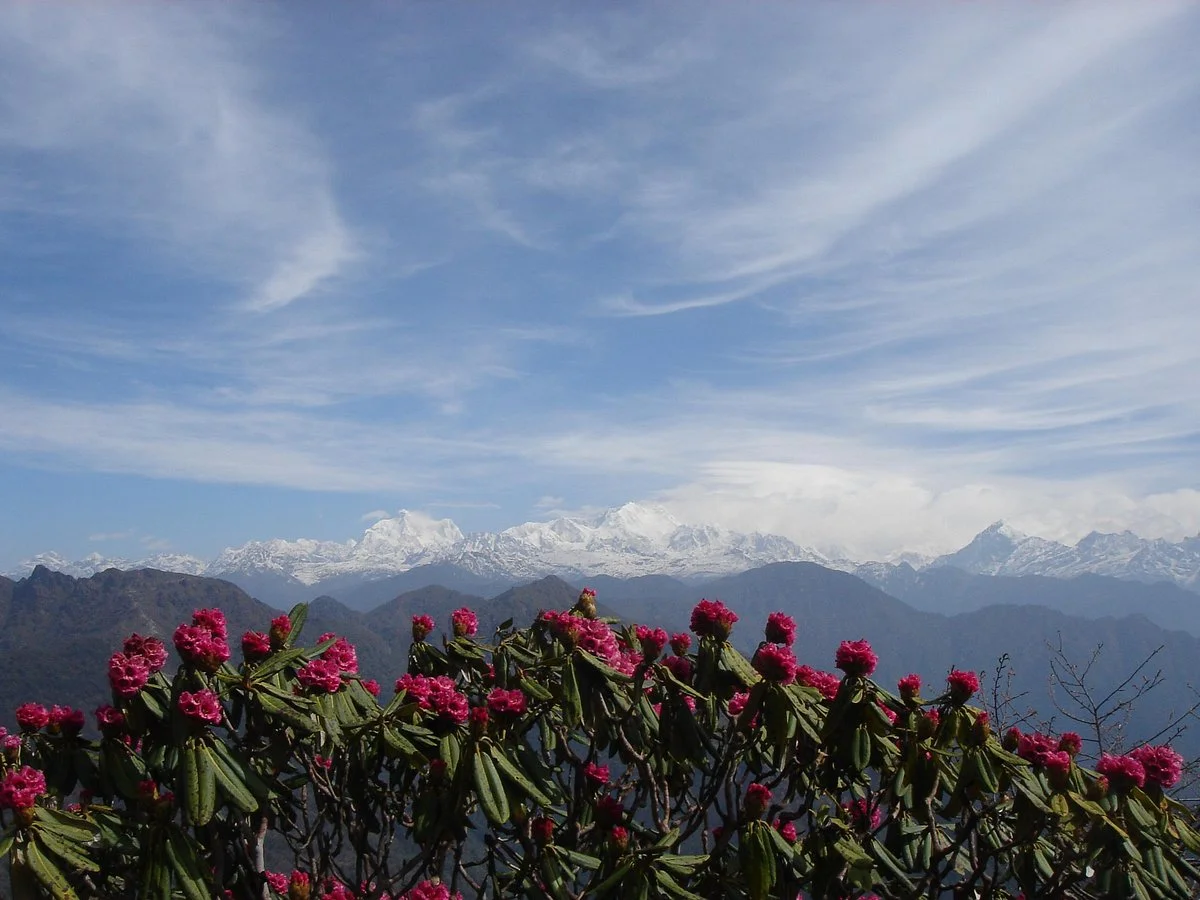 Sandakphu