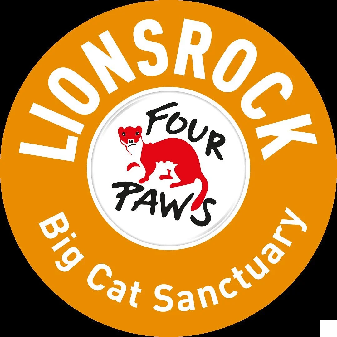 LIONSROCK Big Cat Sanctuary