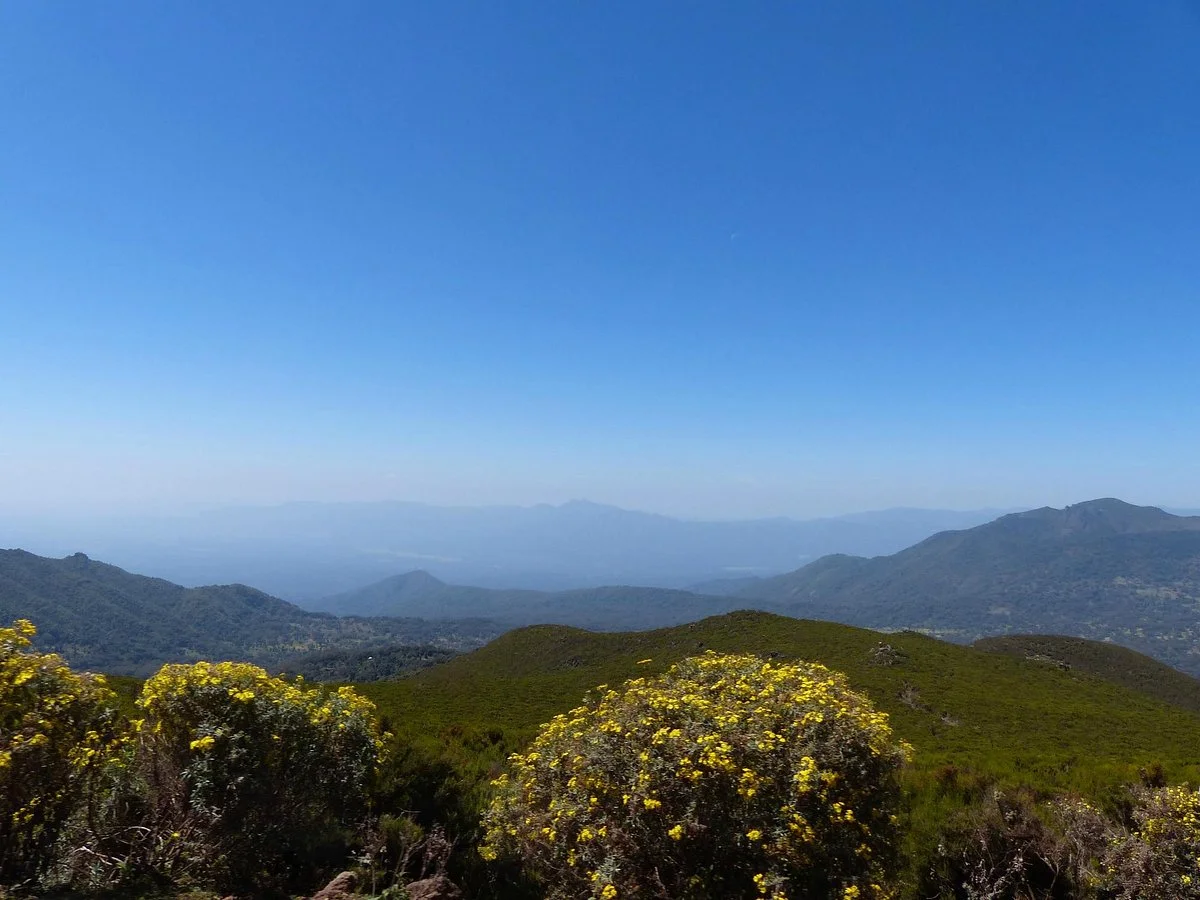 Bale Mountains