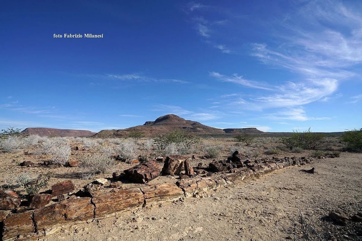 Petrified Forest