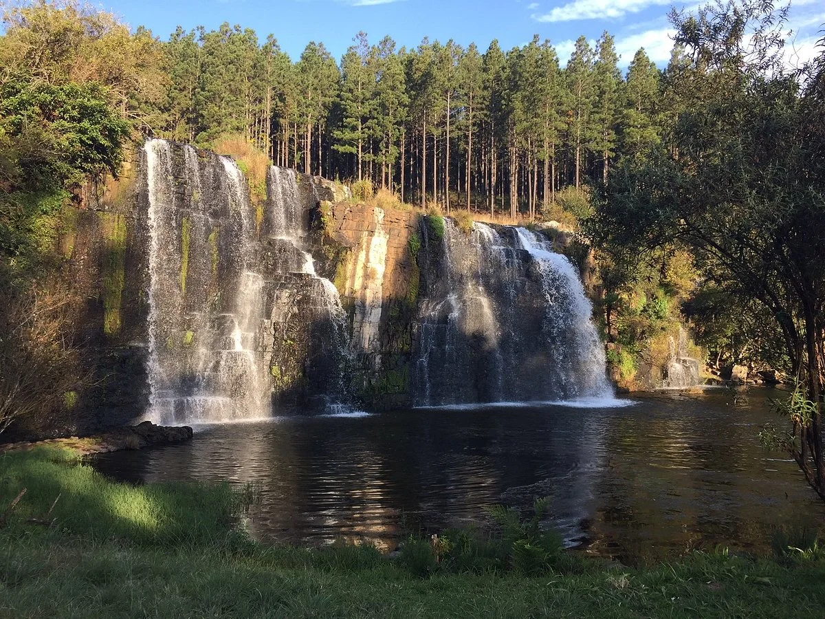 Forest Falls Nature Walk