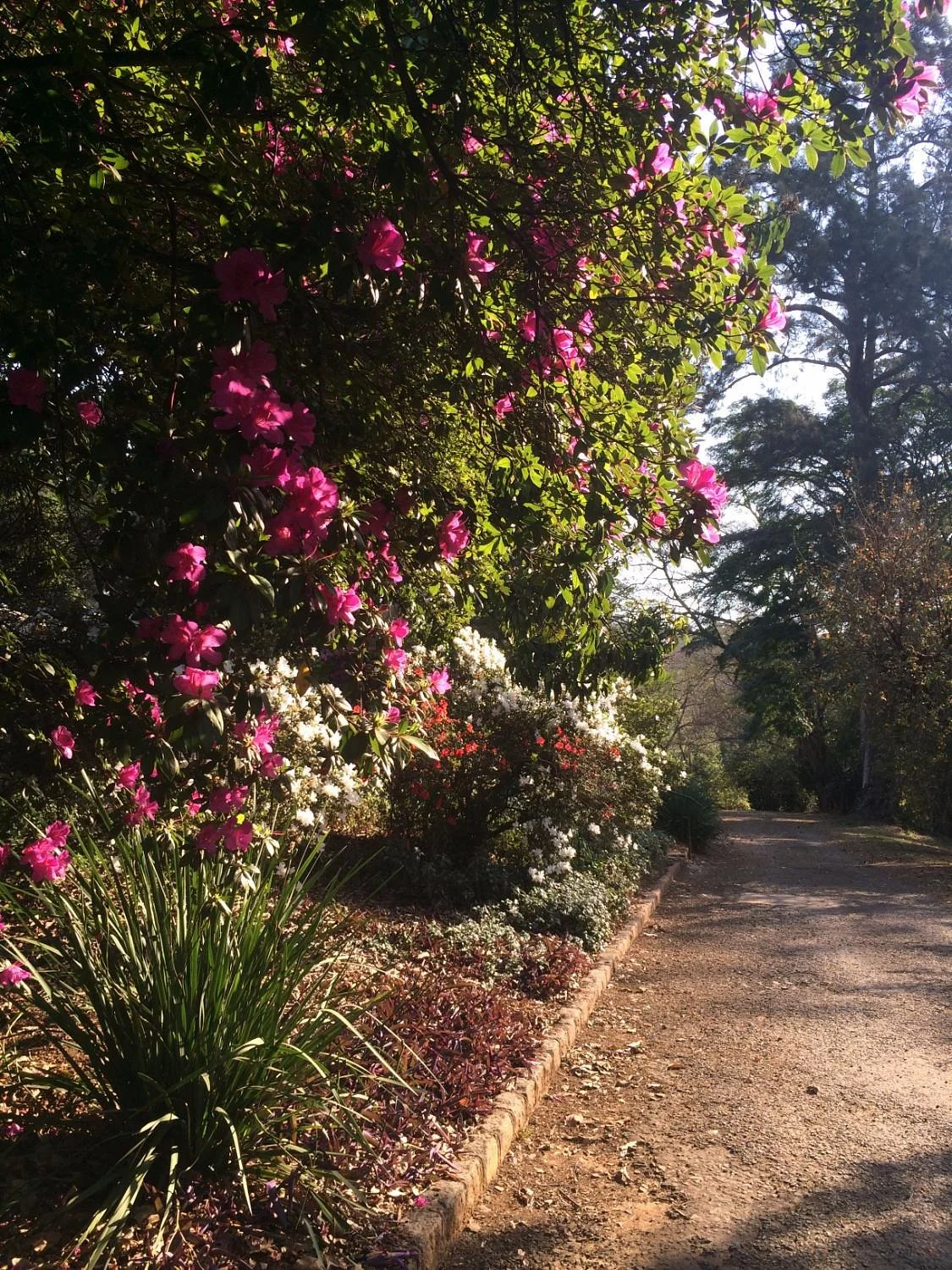 Wylie Park