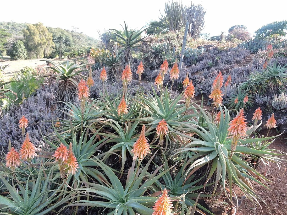 Ewanrigg Botanical Gardens