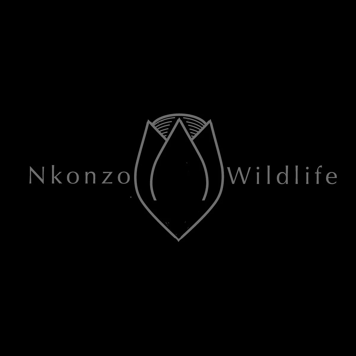 Nkonzo Wildlife Research