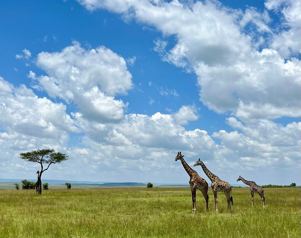 Maasai Mara National Reserve