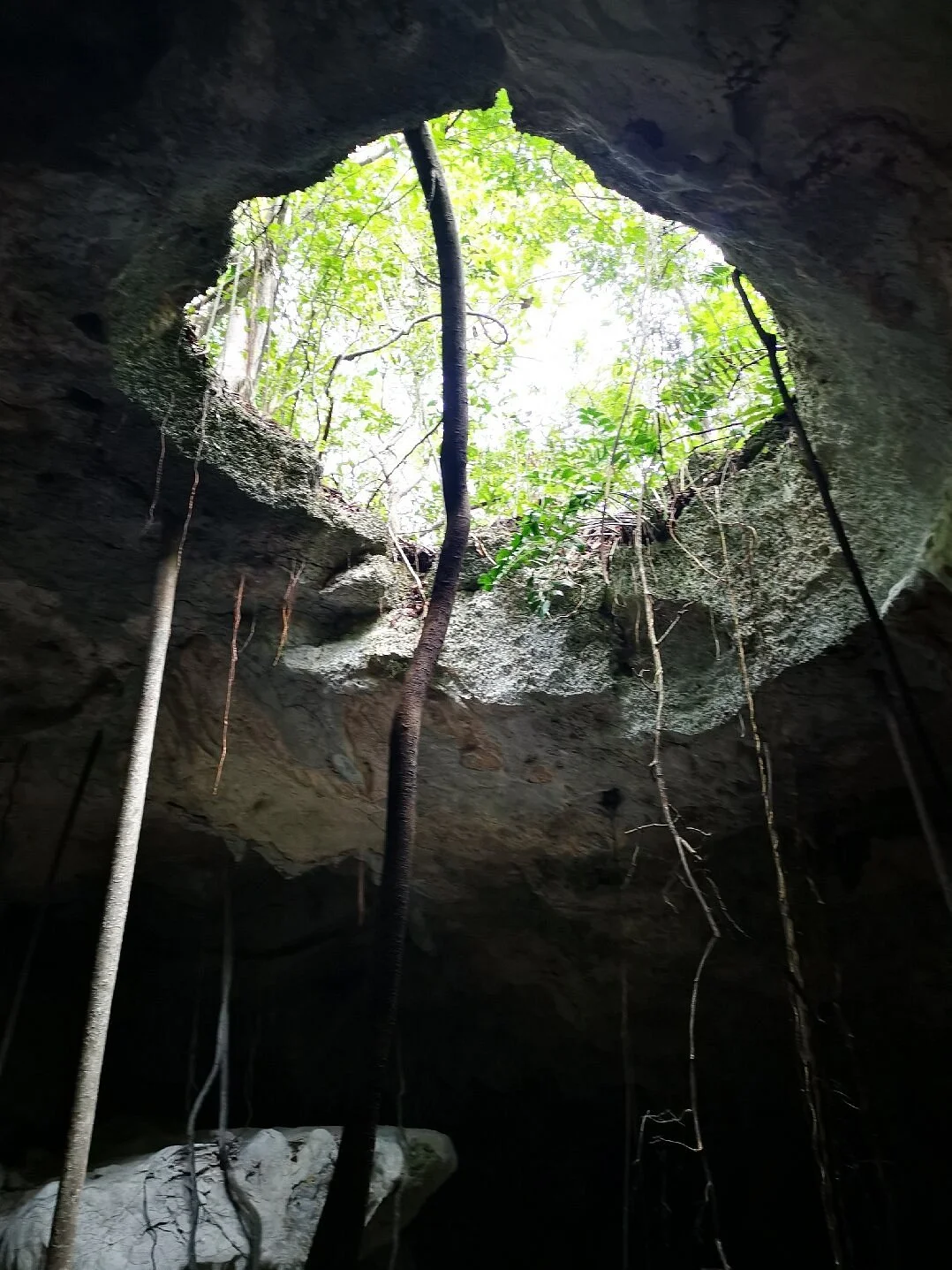 Kiwengwa Caves