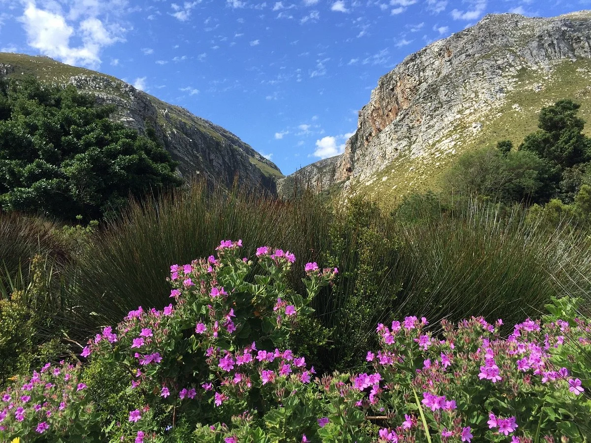 Harold Porter National Botanical Gardens