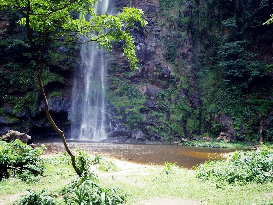 Wli Waterfalls