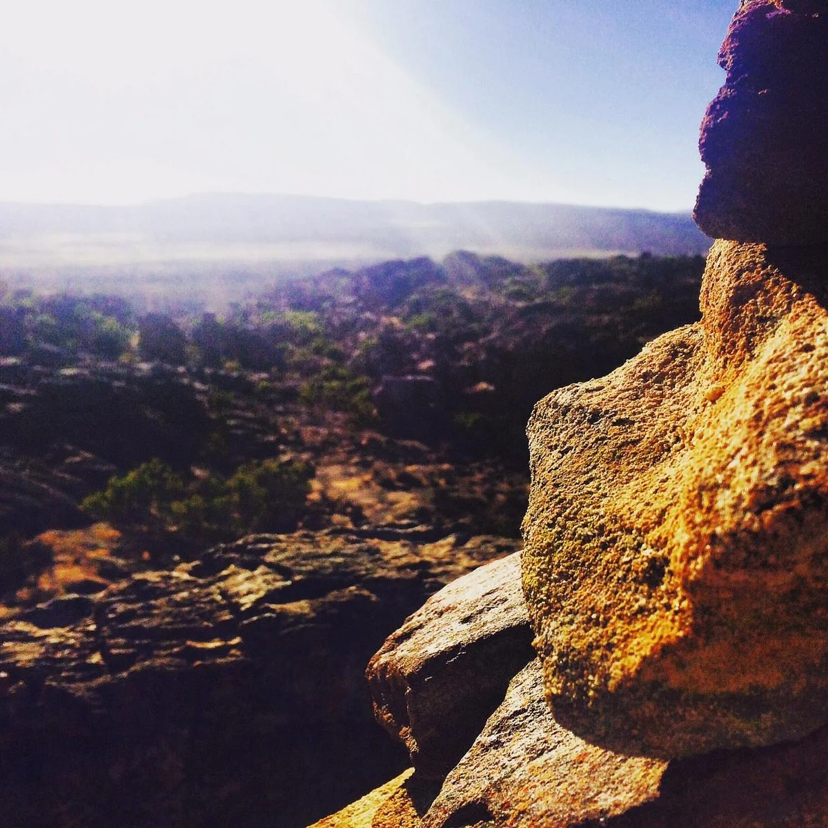 Bushmans Kloof Wilderness Reserve
