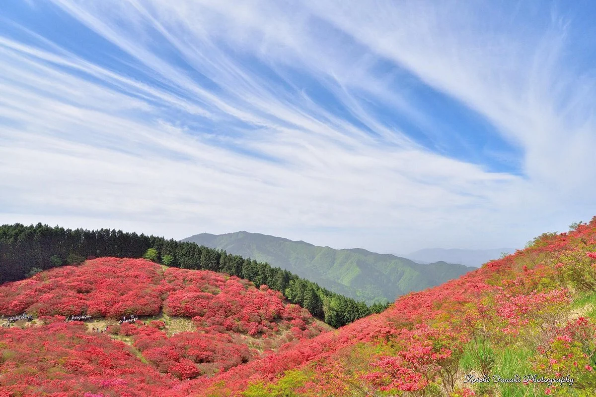 Katsuragi Highlands