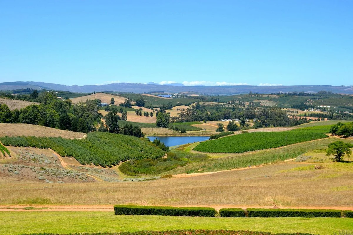 Almenkerk Wine Estate