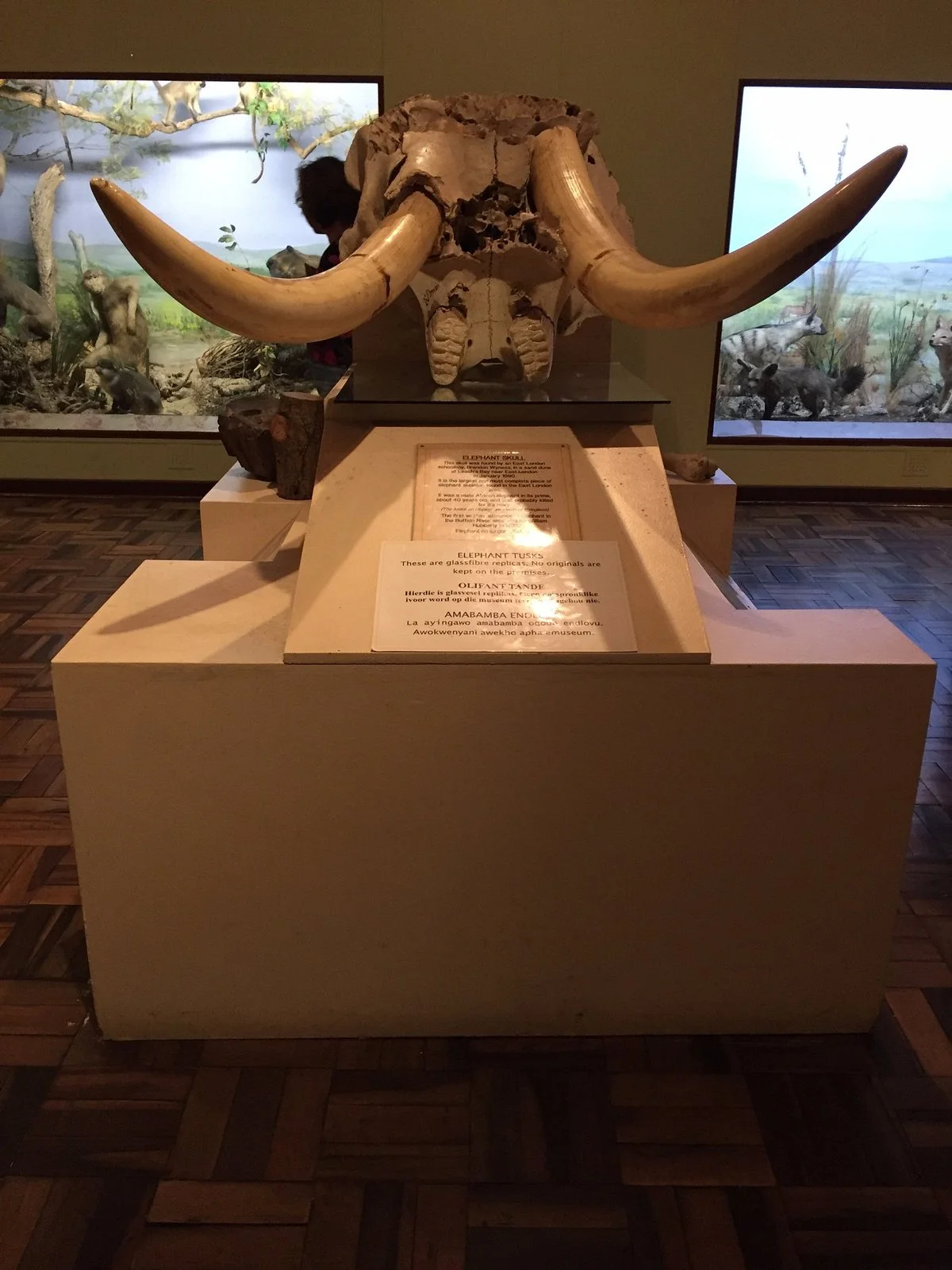 East London Museum