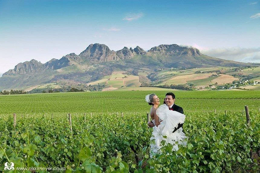 Stellenrust Winery