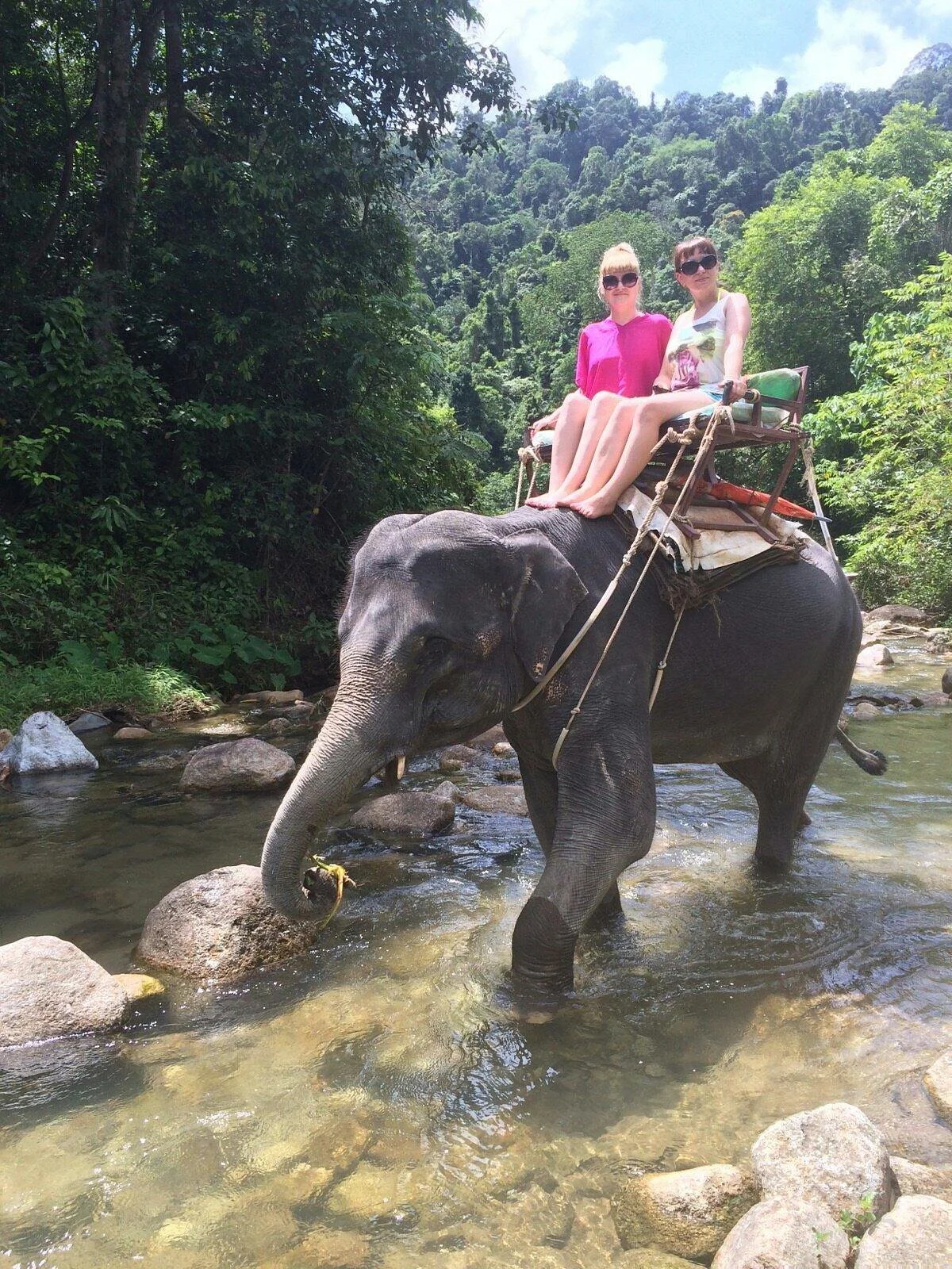 Seaview Elephant Camp