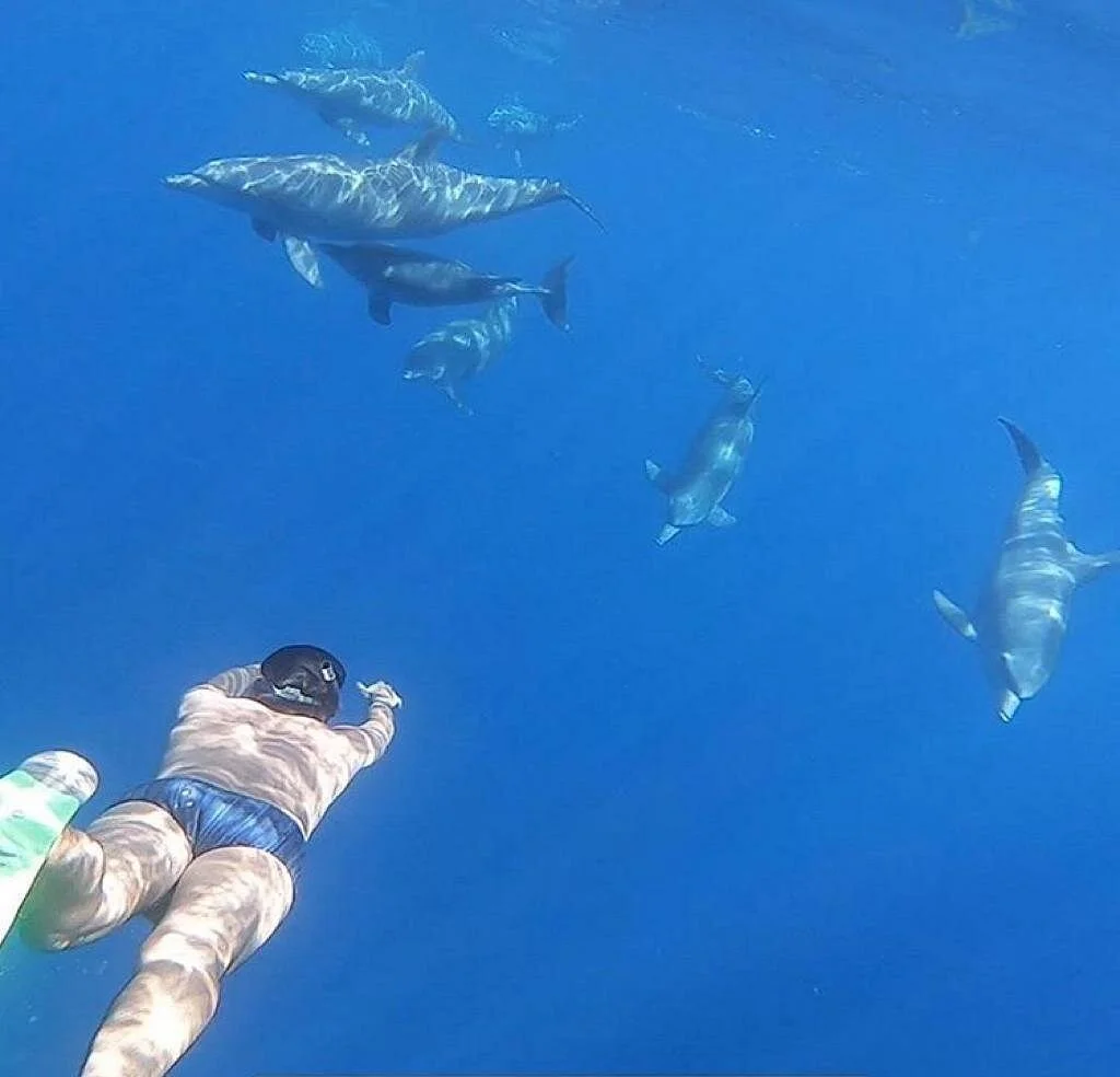 Dolphin Tour