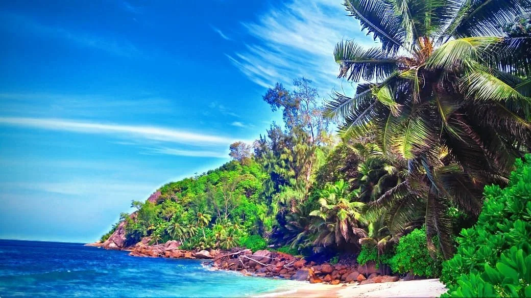 Anse Petite Marie-Louise Beach