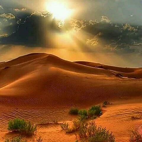 Namib Desert