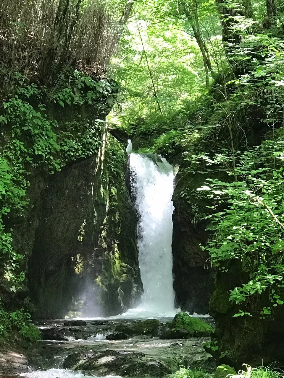 Ryugaeshi no Taki Waterfall