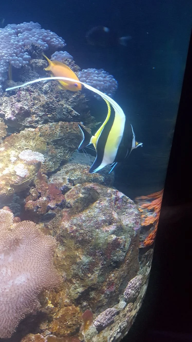 Eden Aquarium
