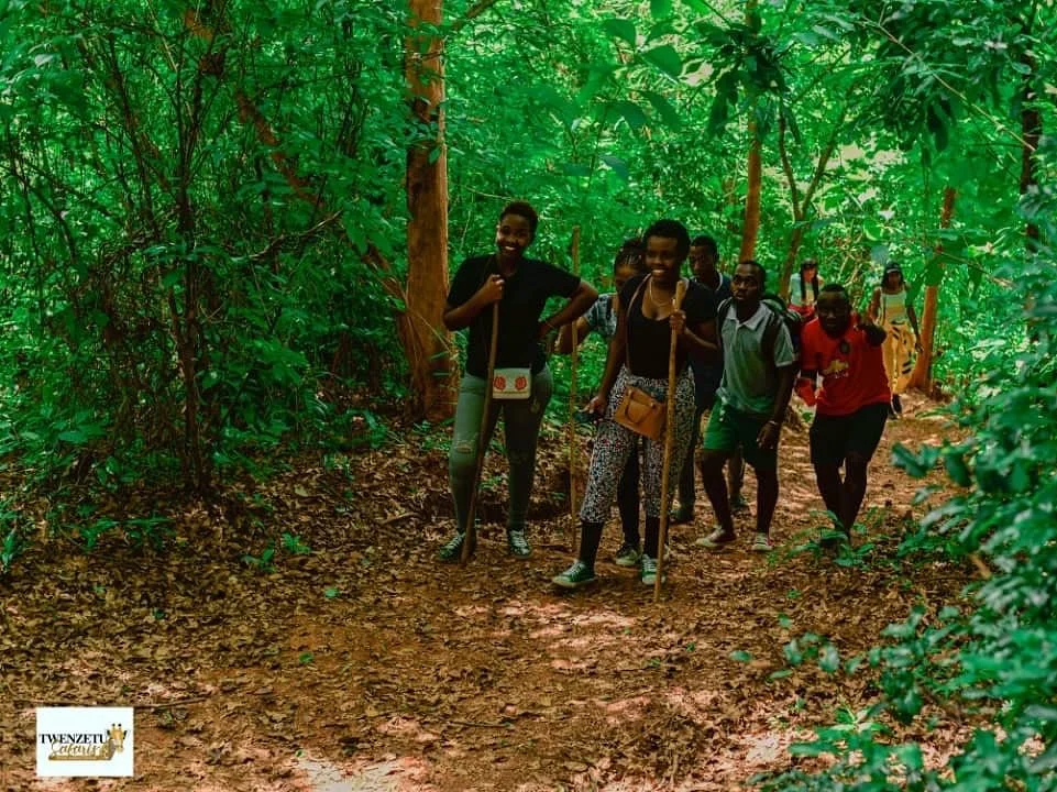 Udzungwa Mountains National Park