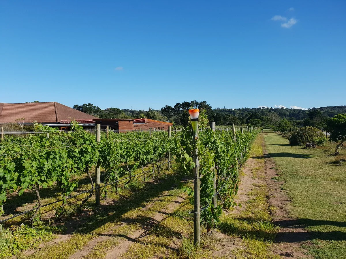 Theescombe Estate Wine Farm