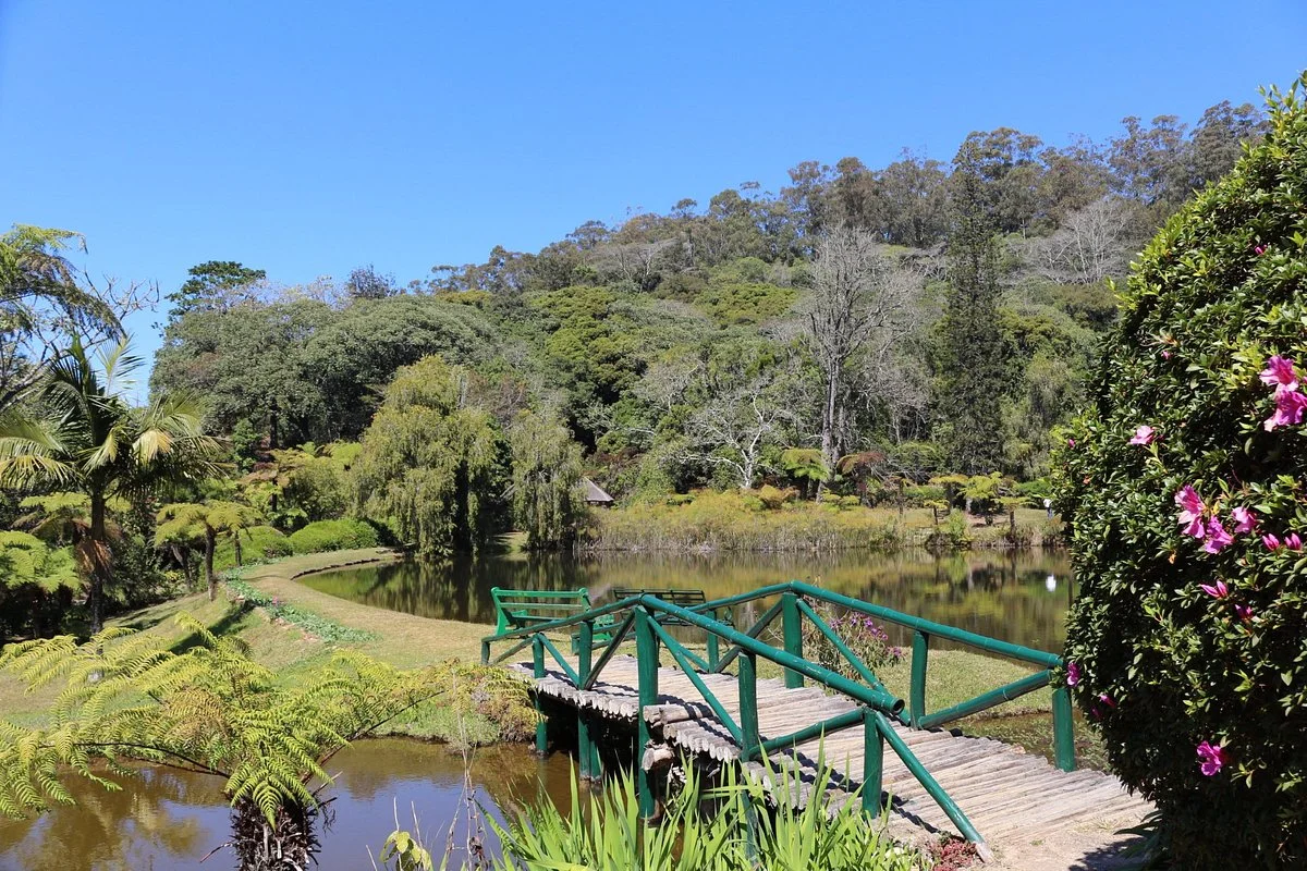 Vumba Botanical Gardens and Reserve