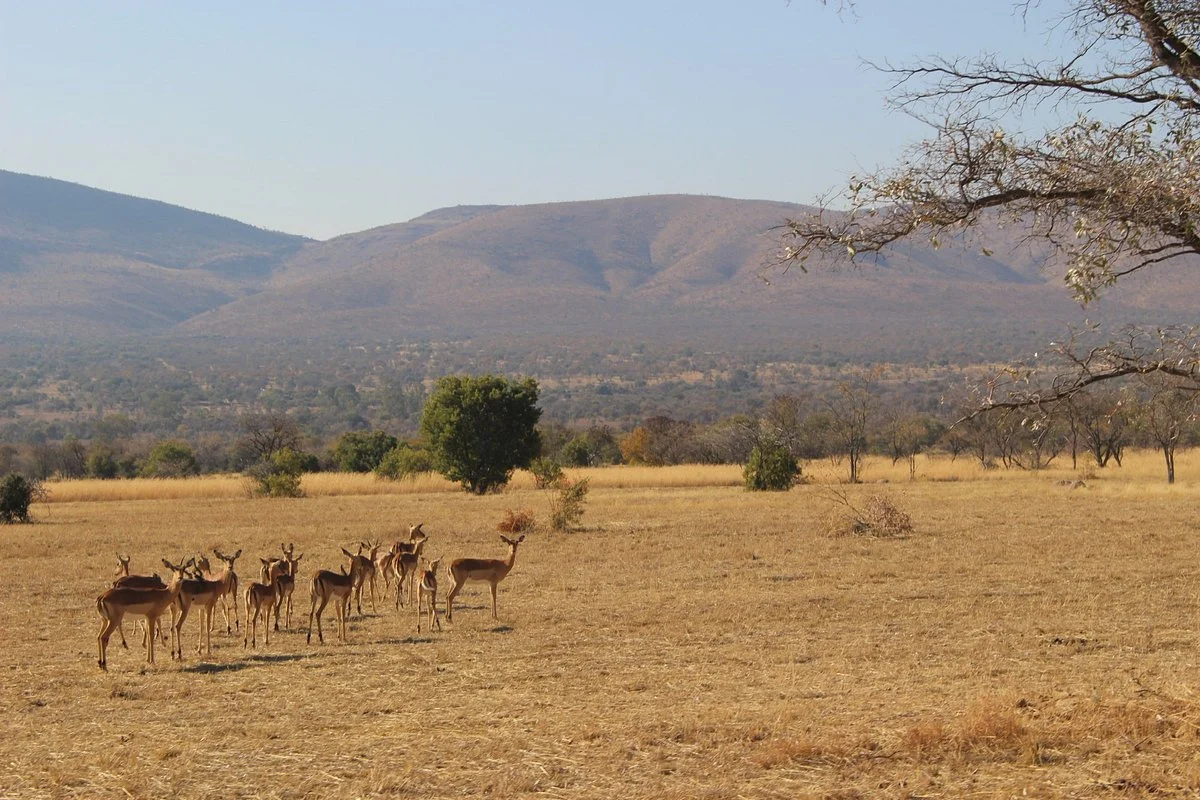 Feracare Wildlife Centre