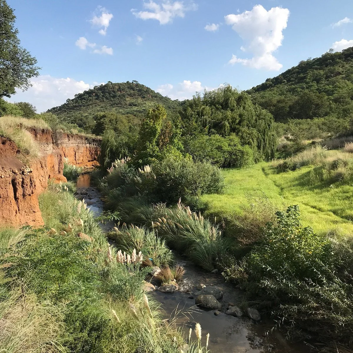 Klipriviersberg Nature Reserve