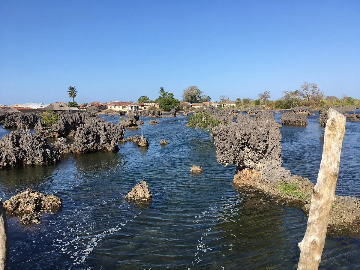 Coral Gardens