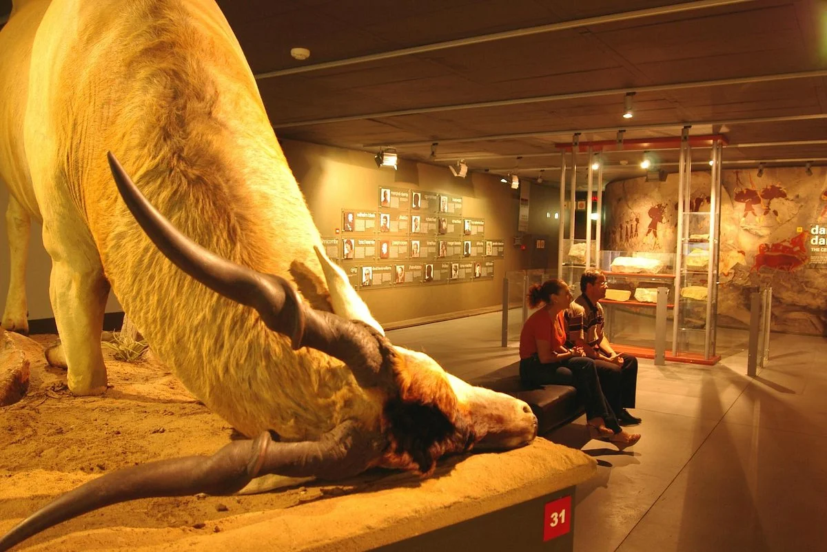 Origins Centre Museum
