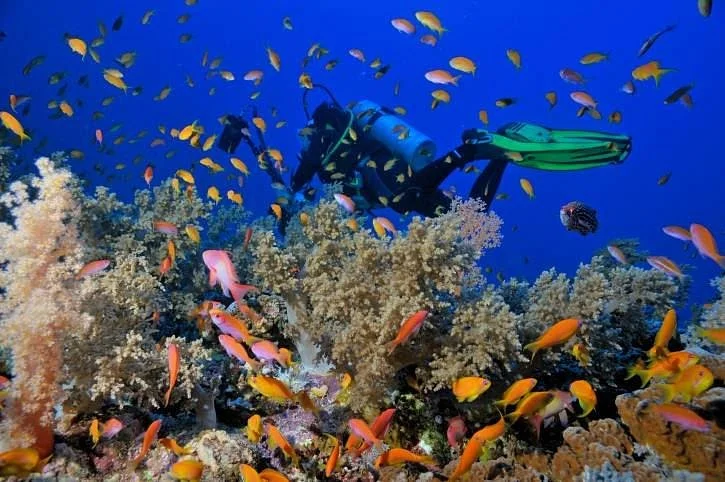 Tiran Island
