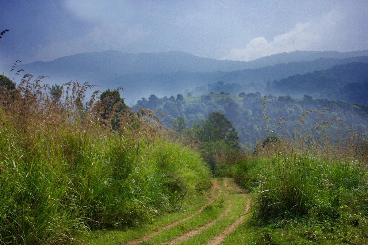 Attapadi Reserve Forest