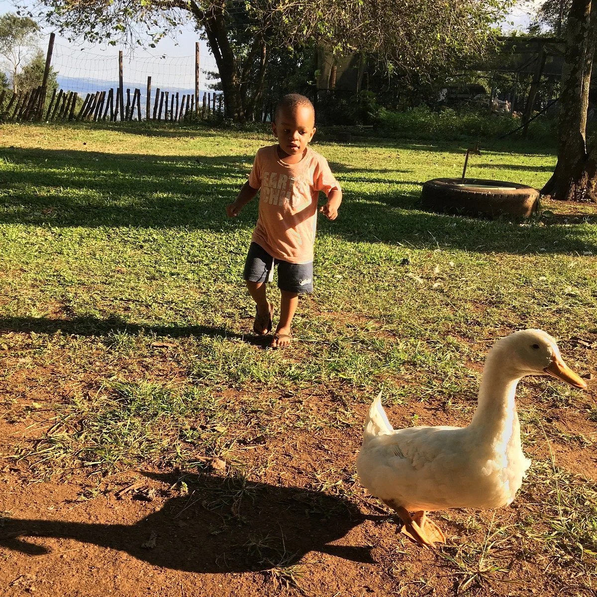 Crafty Duck Farm