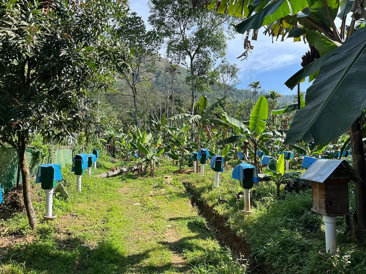 Philip's Natural Honey And Bee Farm