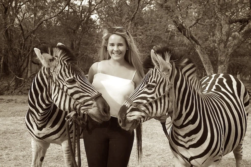 Zebra Interaction
