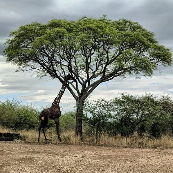 REST - Rare & Endangered Species Trust