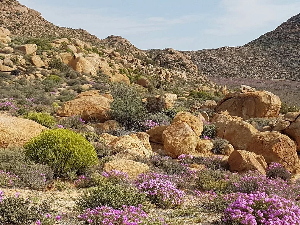 Goegap Nature Reserve