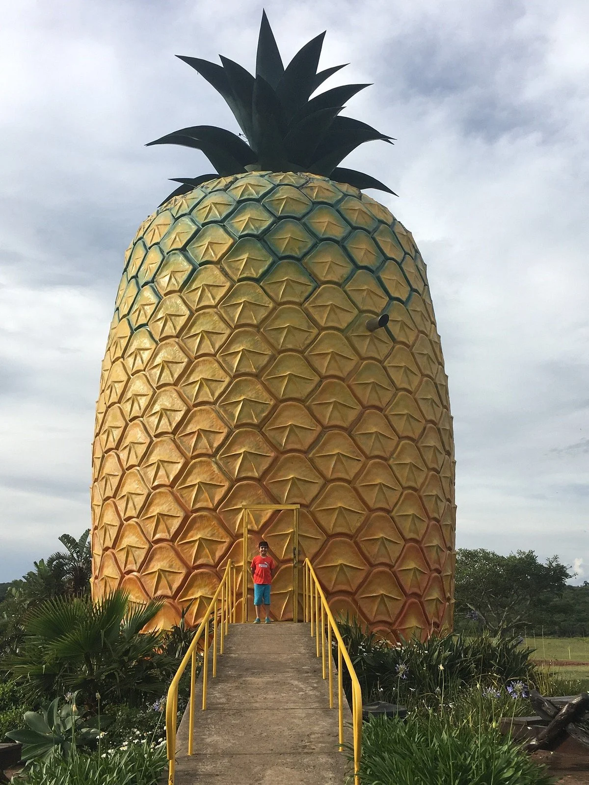 The Big Pineapple