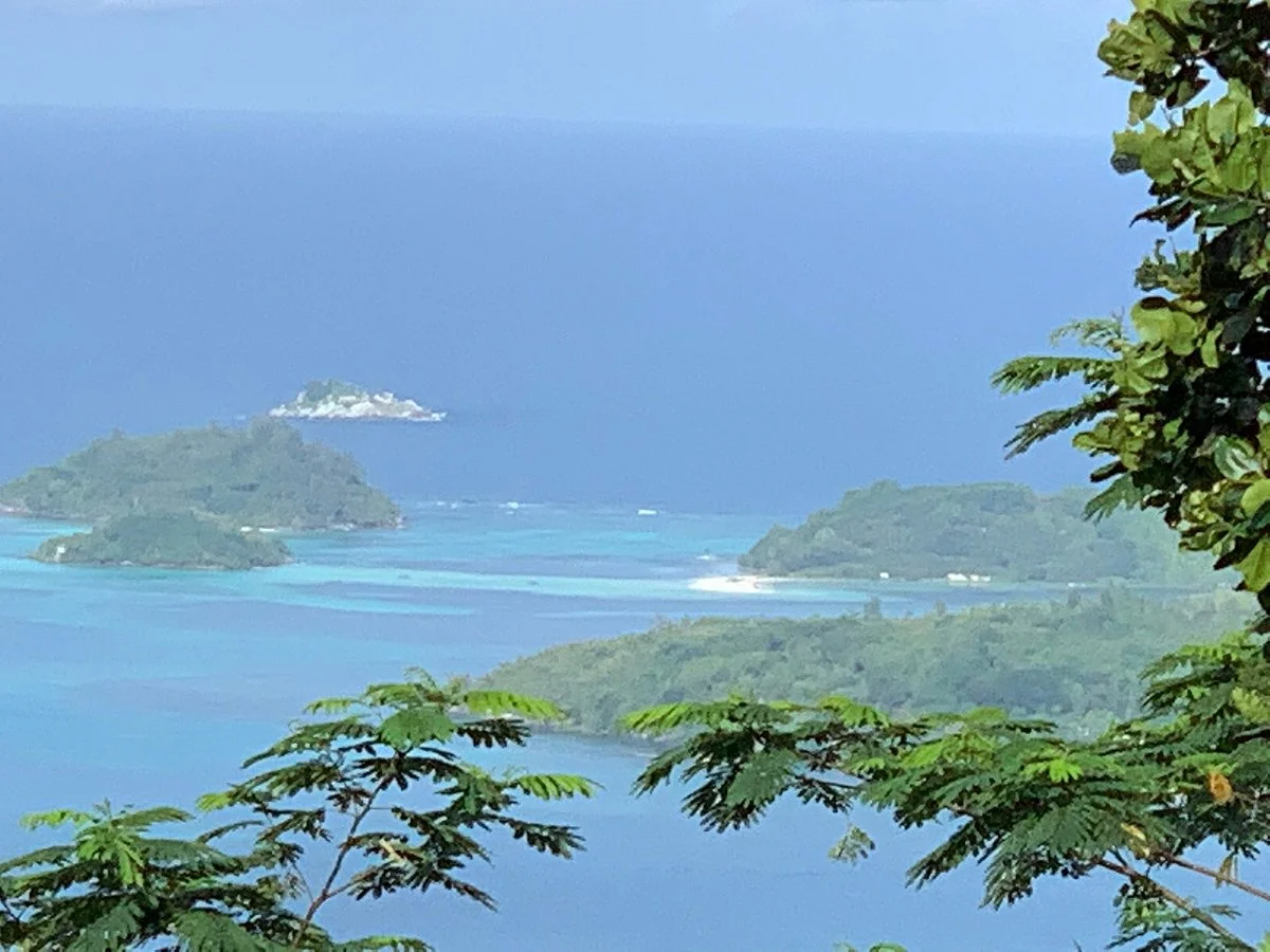 Viewpoint Over Victoria and Eden Island