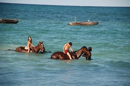 Maisha Mazuri Horse Riding Club